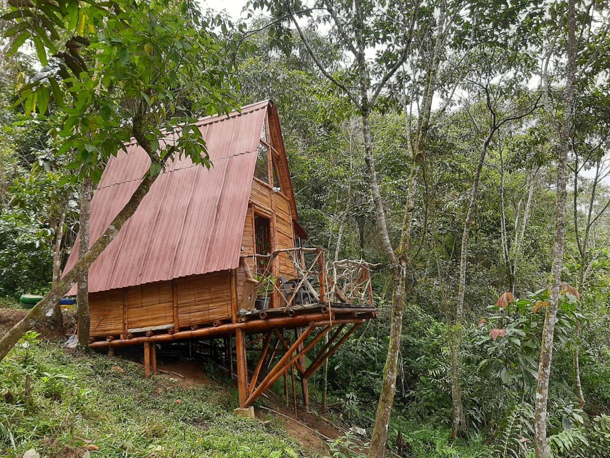 Camino Al Agua - Cocorna Campsite