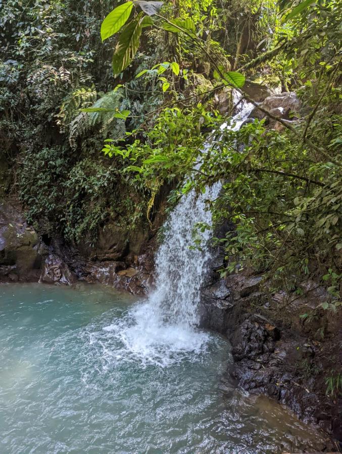 Campsite Camino Al Agua - Cocorna