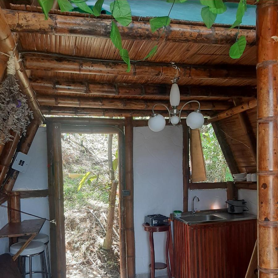 Camino Al Agua - Cocorna San Francisco (Antioquia)