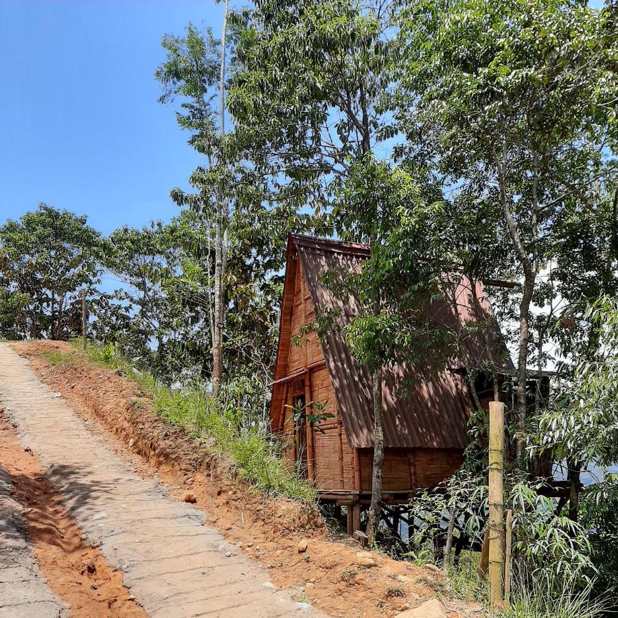 Camino Al Agua - Cocorna Campsite San Francisco (Antioquia)